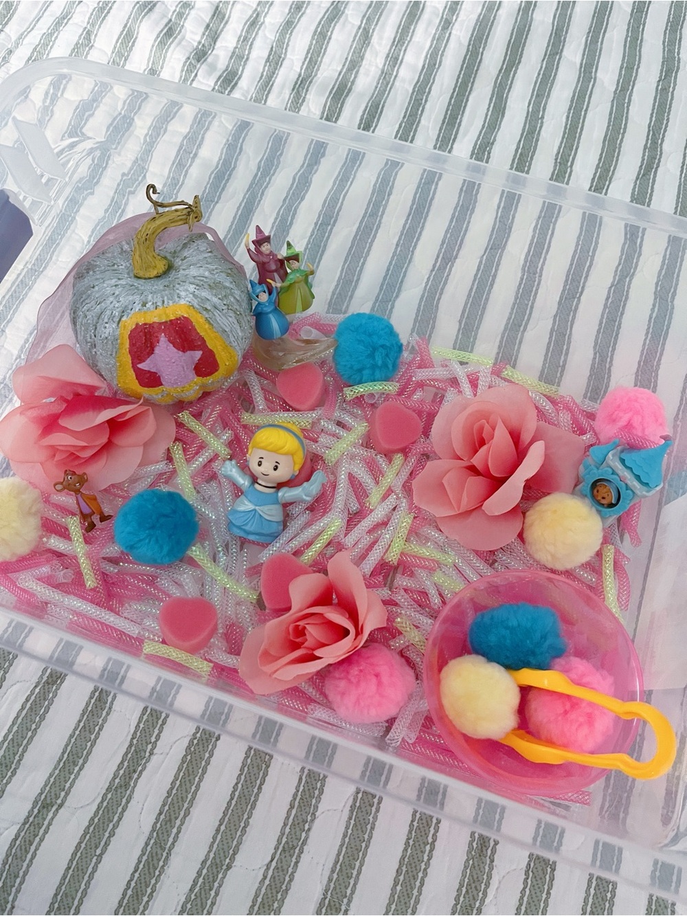 Cinderella sensory Kit - Kids Toys